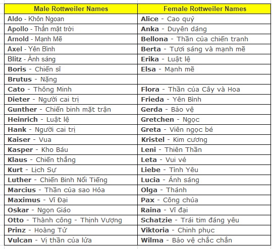 Bạn Nên Đặt Tên Gì Cho Chú Rottweiler Của Mình | Tùng Lộc Pet