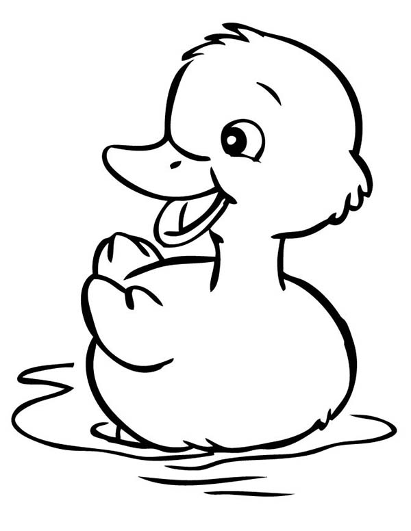 Ghim Trên Duck Coloring Pages