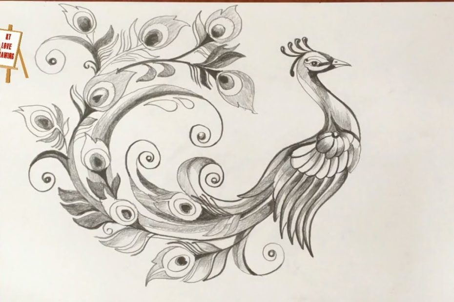 Vẽ Chim Công Đơn Giản Bằng Bút Chì - How To Draw A Peacock With Pencil -  Youtube