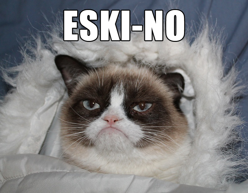 Eski-No | Grumpy Cat | Know Your Meme