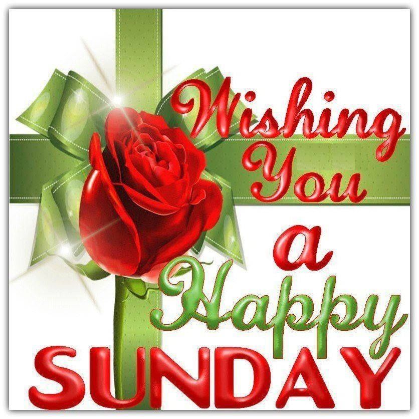 Wishing You A Happy Sunday Love Day Flowers Heart Friend Blessing Days Of  The Week Sunday Greeting | Happy Sunday Pictures, Happy Sunday Images,  Sunday Pictures