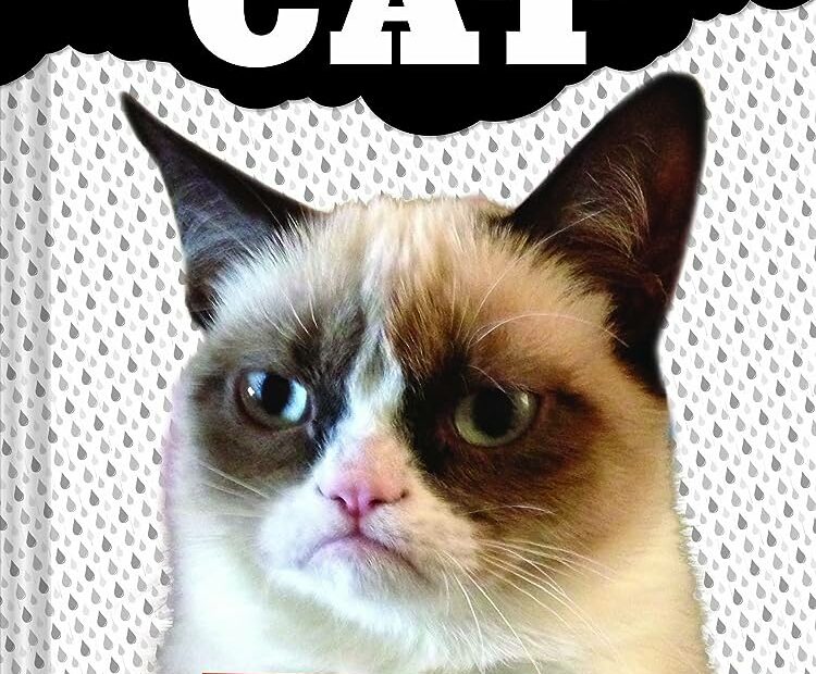 Grumpy Cat: A Grumpy Book : Grumpy Cat: Amazon.Com.Au: Books