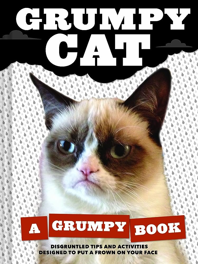 Grumpy Cat: A Grumpy Book : Grumpy Cat: Amazon.Com.Au: Books