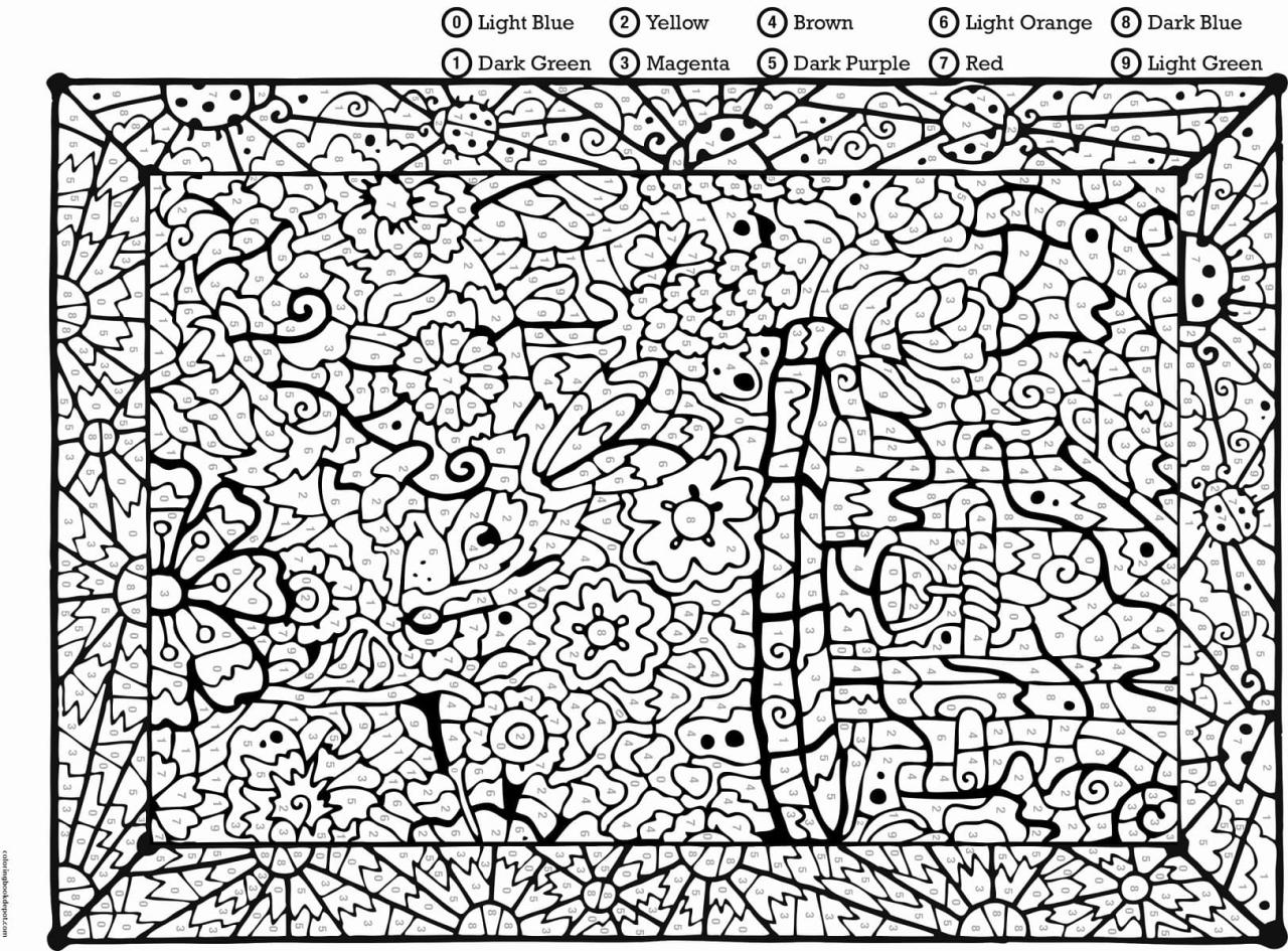 Adult And Advanced Color By Number - Free Printable Coloring Pages For Kids