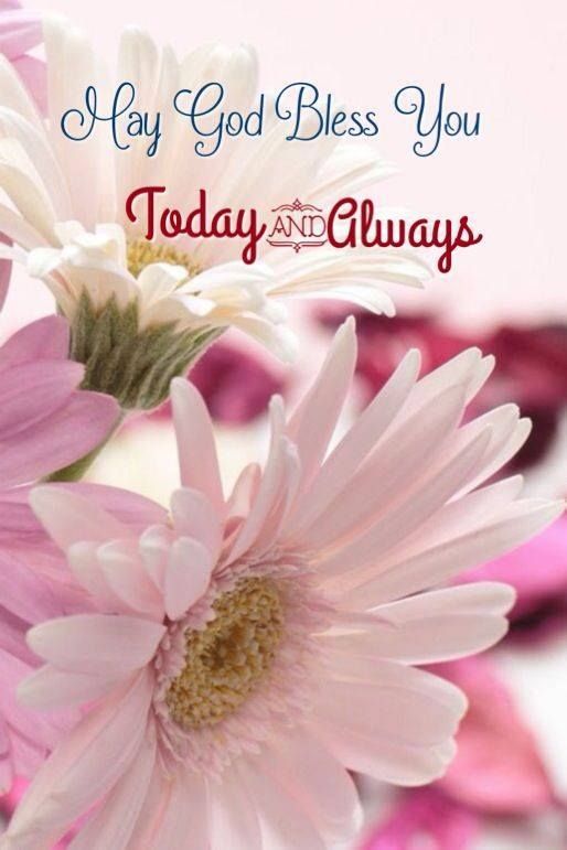 May God Bless You. Today And Always. | God Bless You Quotes, Good Morning  Images Flowers, Good Morning Quotes