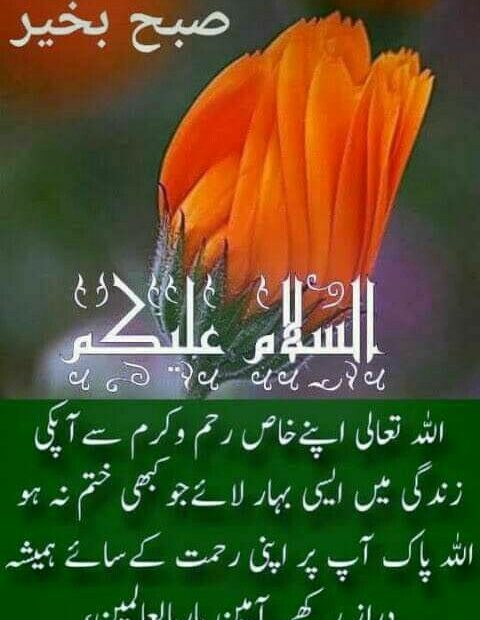 900+ Good Morning Urdu Ideas | Good Morning Greetings, Good Morning Images,  Beautiful Morning Messages