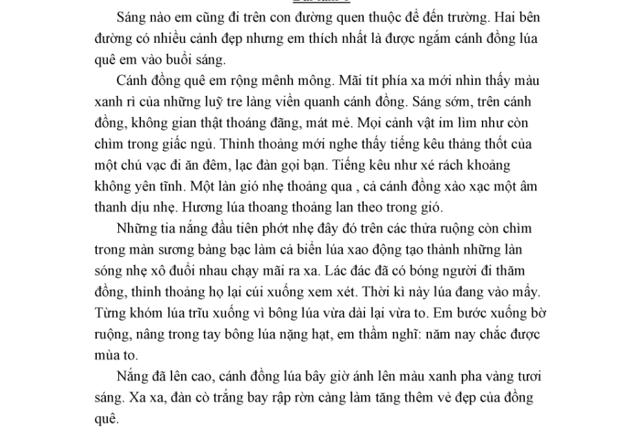 Top 18+ Cách Làm Bài Văn Tả Cảnh Lớp 5 Hay Nhất - Lagroup.Edu.Vn