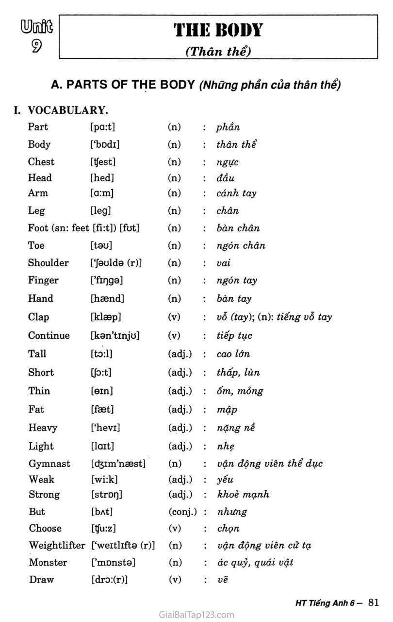 Giải Tiếng Anh Lớp 6 Unit 9: The Body