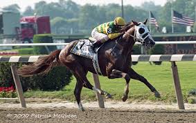 Belmont Stakes 2018: Is Justify Related To Secretariat? - Newsweek