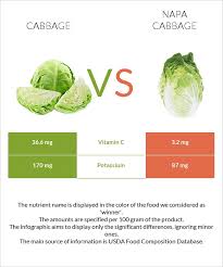 The Benefits Of Eating Cabbage