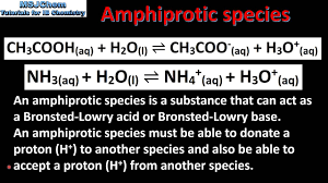 Amphiprotic Vs Amphoteric: Understanding The Differences