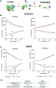 Heat-Inactivation Of Serum Barely Affects Viability, But Has... | Download  Scientific Diagram