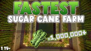 Minecraft How To Grow Sugar Cane Fast - Youtube