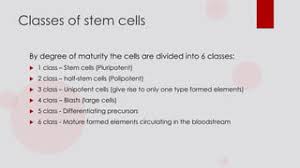 Production Of The Formed Elements | Anatomy And Physiology Ii