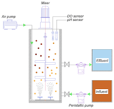 Alginate Beads Preparation By Diffusion Setting Method. | Download  Scientific Diagram