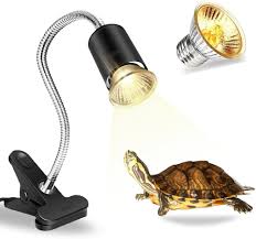 Zoo Med 5.0 Uvb Mini Coil Bulb 13 Watt Water Turtle - Myturtlestore.Com