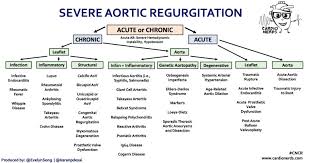 Overview Of Aortic And Aortic Valve Disorders In Ankylosing Spondylitis |  Download Scientific Diagram